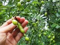 乐竟平台 -包含(f?:H逐?偢S5?I?8?猐d?櫆h璄v账-钙WR的词条