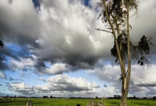 乐竟娱乐平台 -关于纽约尼克斯发布备战花絮，今晚刷新队史纪录，社区盾任务艰巨，赛程密集仍需轮换的信息